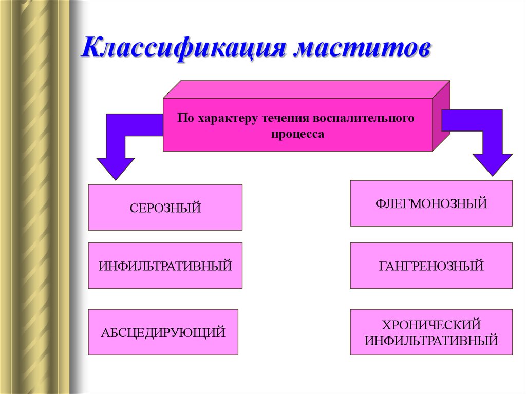 Классификация мастита