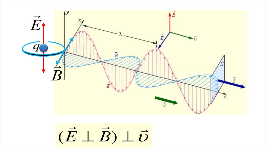 Поперечность электромагнитных волн презентация