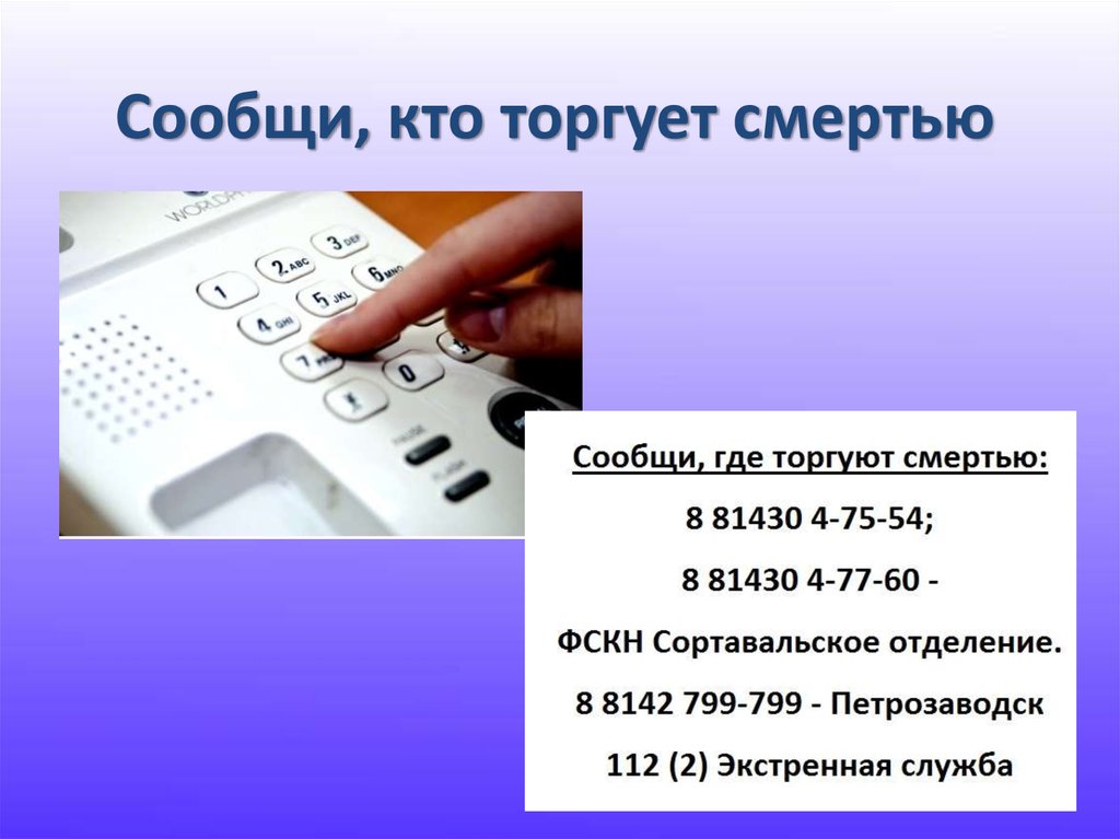 Сообщи, кто торгует смертью