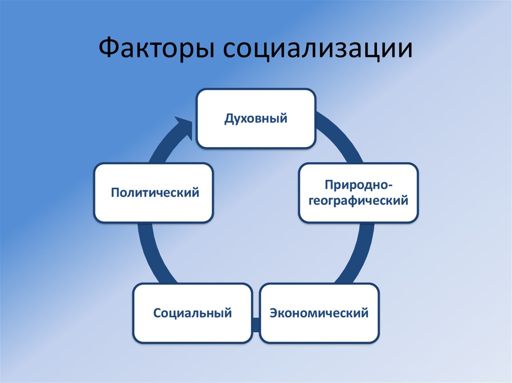 Выделить факторы социализации