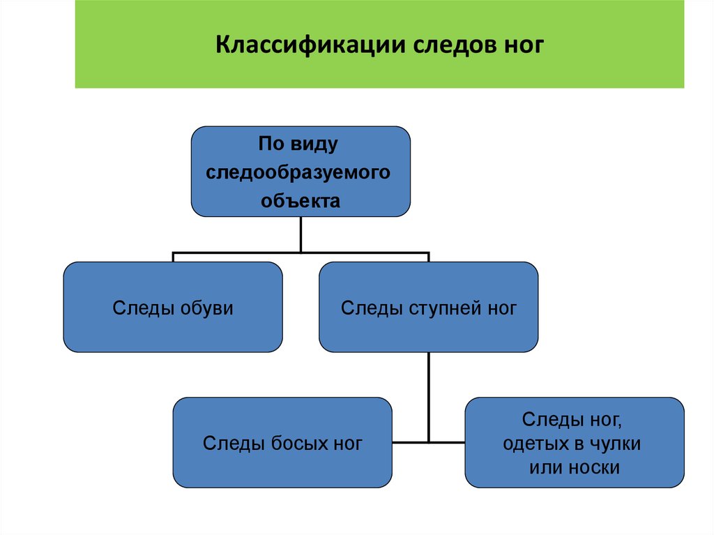 Схема классификации следов