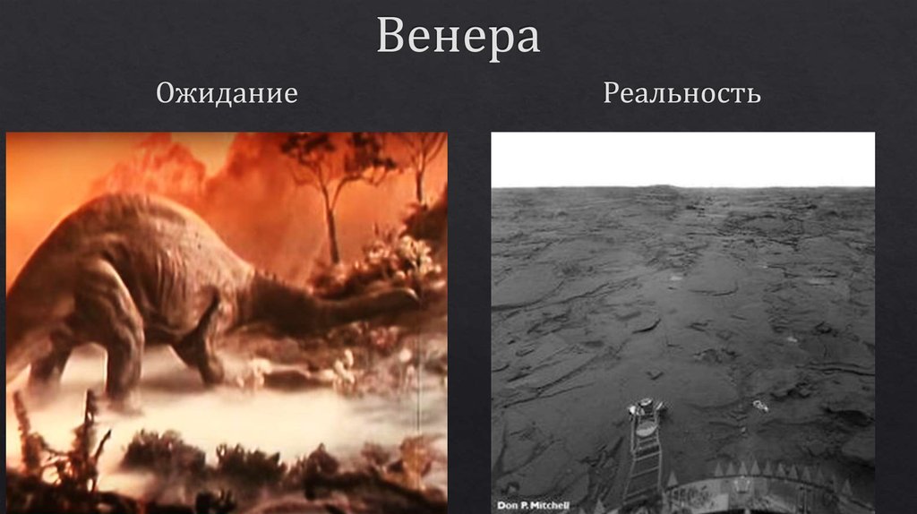 Венера