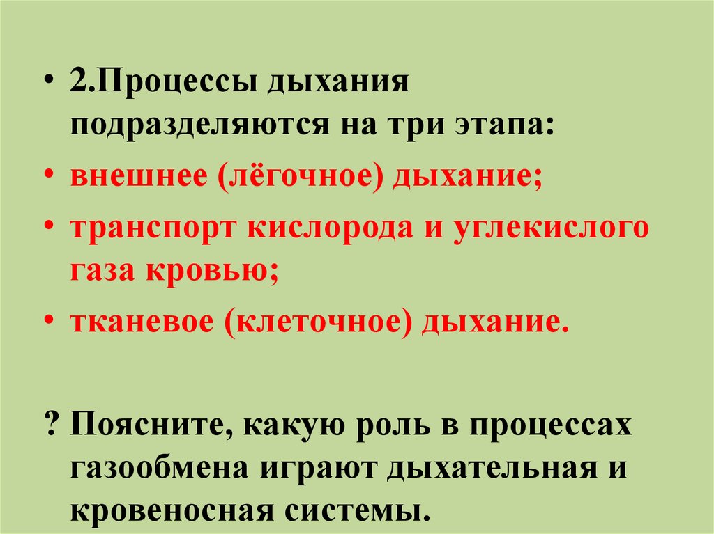 Какую роль играет дыхание в жизни. Процесс дыхания. 3 Этапа процесса дыхания. Процессы дыхания подразделяются на три этапа внешнее. Третья фаза процесса дыхания.