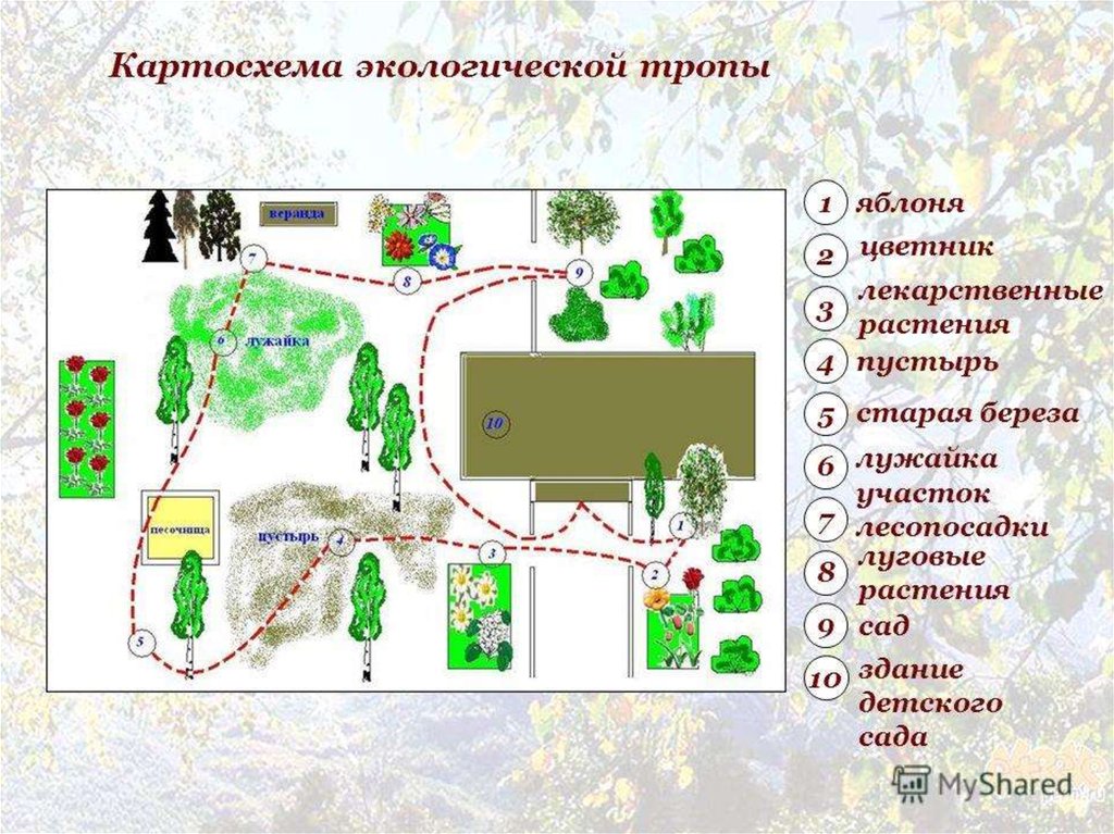 Схема экологической тропы в доу