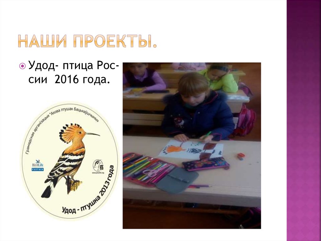 Наши проекты.