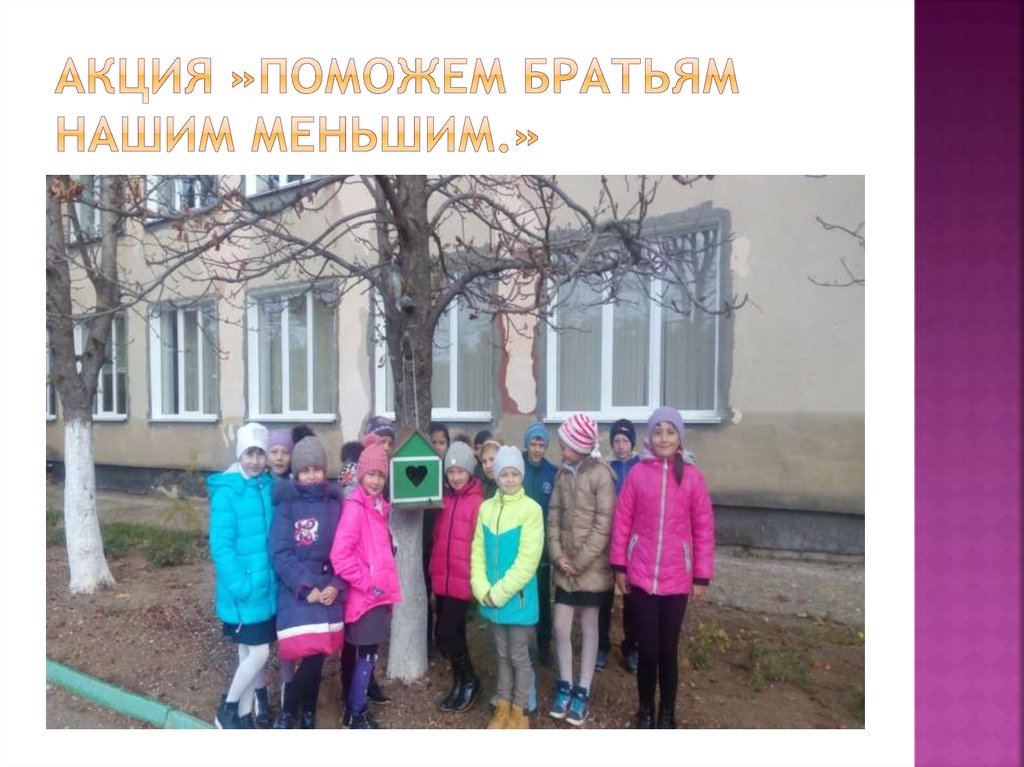 Акция »Поможем братьям нашим меньшим.»