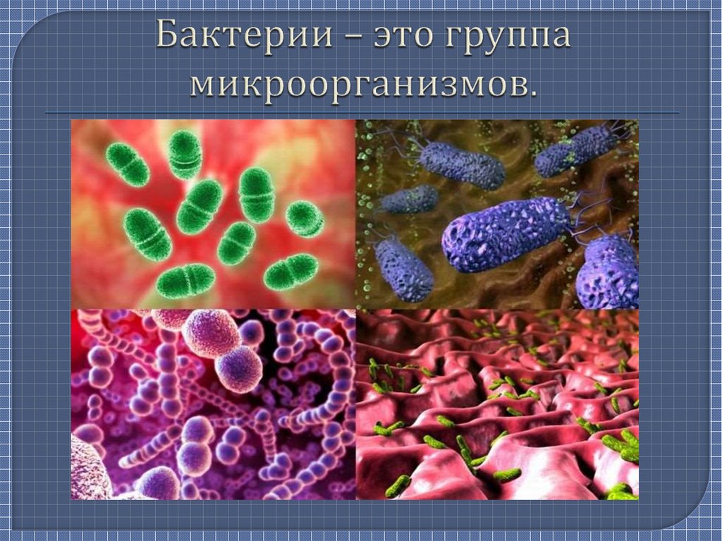 Бактерии человека название. Микроорганизмы это. Биология микробы. Микроорганизмы биология. Микробы в организме человека.
