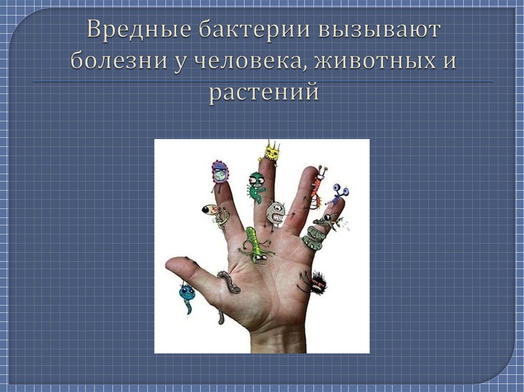 Вредные бактерии