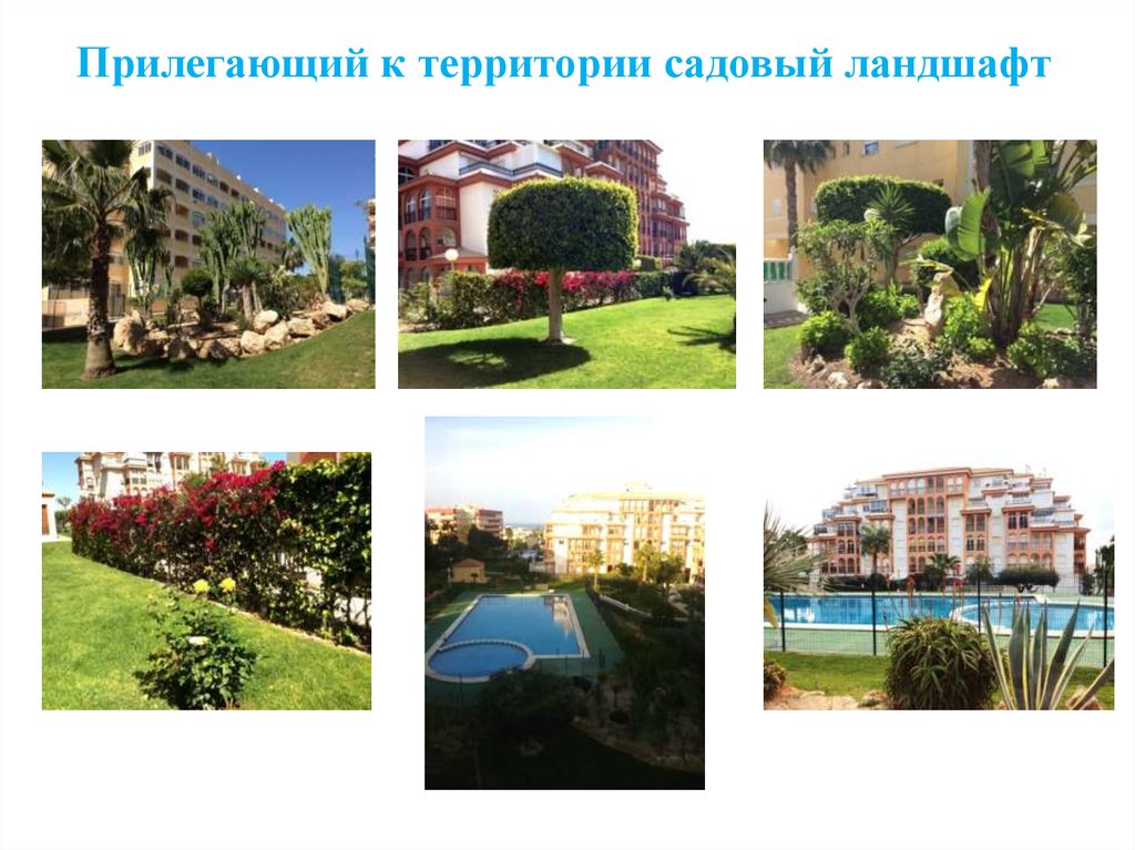 Прилегающий к территории садовый ландшафт