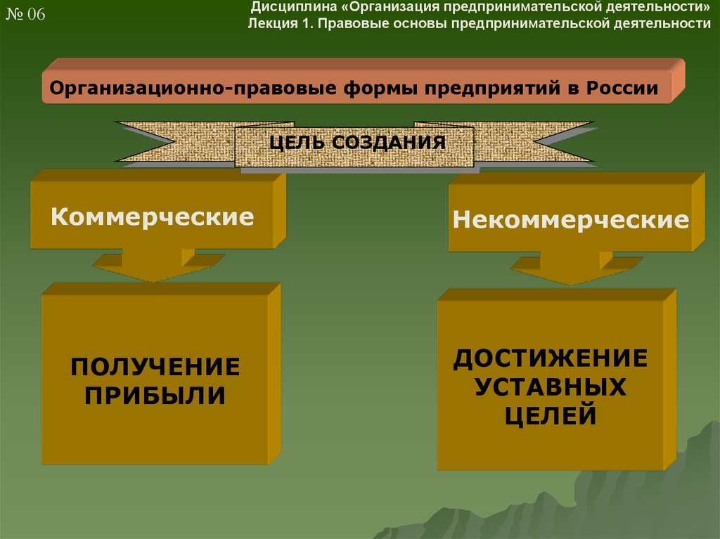 Презентация на тему правовые основы предпринимательской деятельности 10 класс