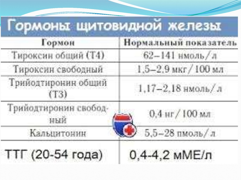 Анализ Ттг Т3 Т4 Цена