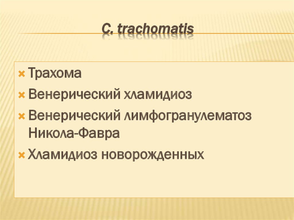 С. trachomatis 