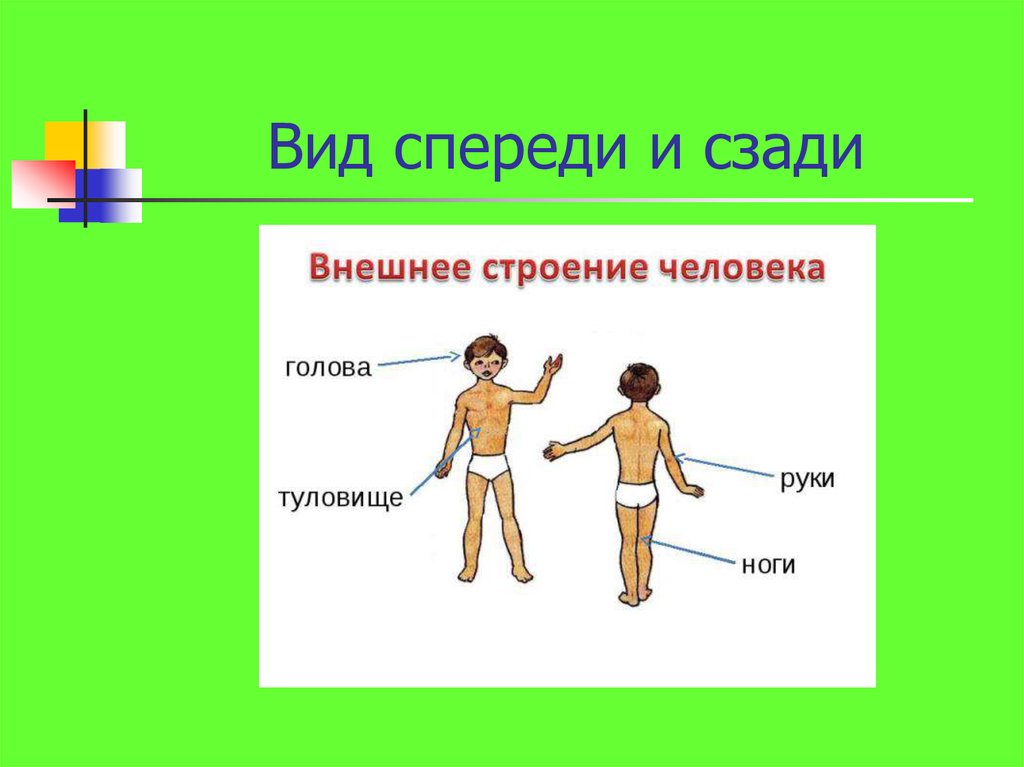 Весна 1 класс окружающий мир планета знаний презентация