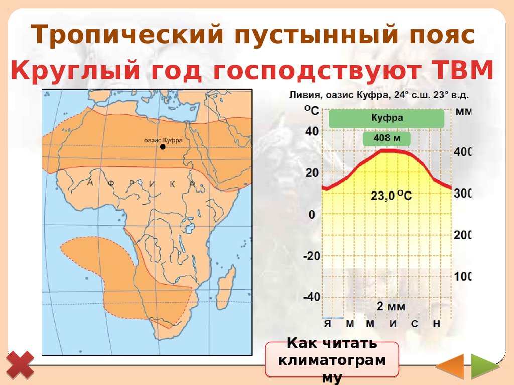 Положение тропиков. Климатограммы климатических поясов Африки. Климатограммы климатических поясов Африки 7 класс. Климат Африки климатограммы. Тропический пустынный климат климатограмма.