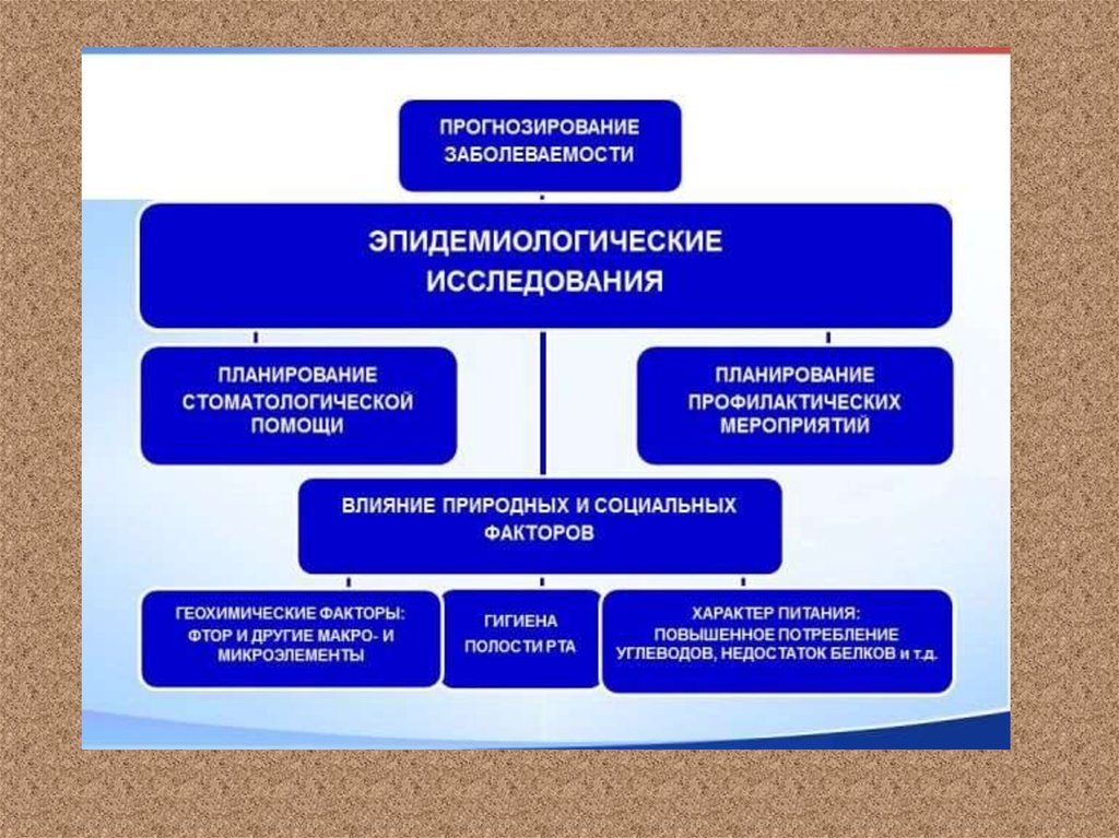 Эпидемиологические методы исследования презентация