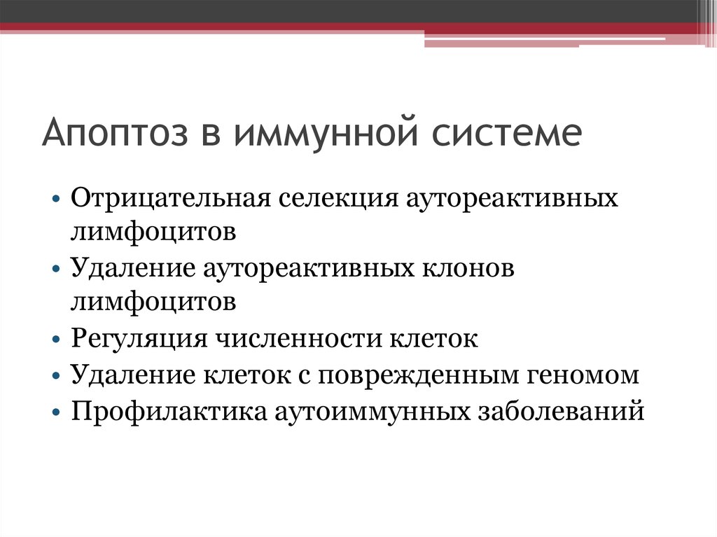 Апоптоз презентация иммунология