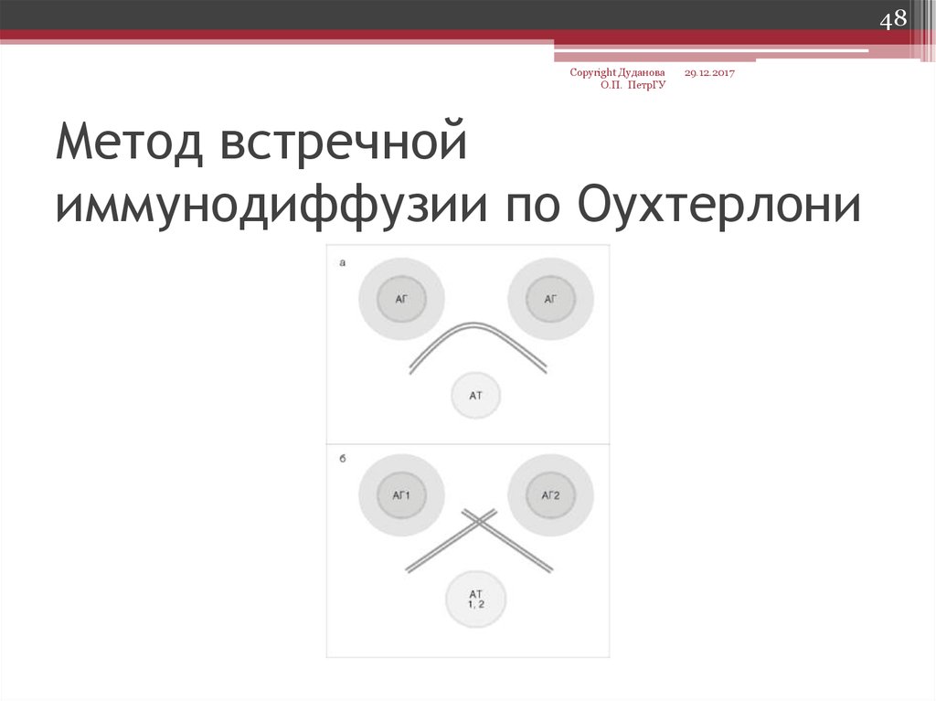 Реакция двойной иммунодиффузии по оухтерлони картинки