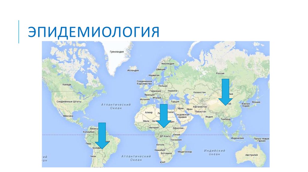 эпидемиология