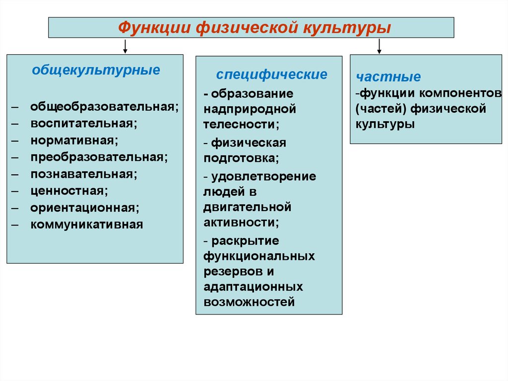 Функция не относится к. Функции физической культуры. Перечислить функции физической культуры. Функции физического воспитания. Одной из специфических функций физической культуры является.