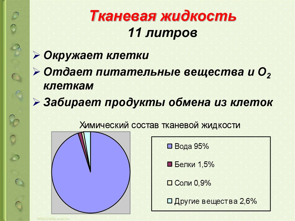 Тканевая жидкость в организме. Тканевая жидкость характеристика и функции. Функции тканевой жидкости в организме человека. Состав тканевой жидкости в организме человека. Состав тканевой жидкости.