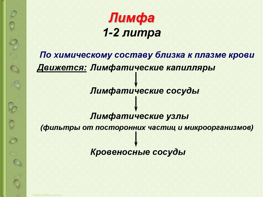 Презентация по литре 6 класс