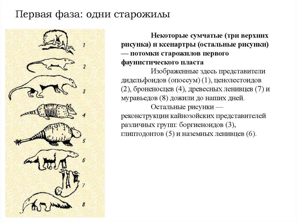 Первая фаза: одни старожилы