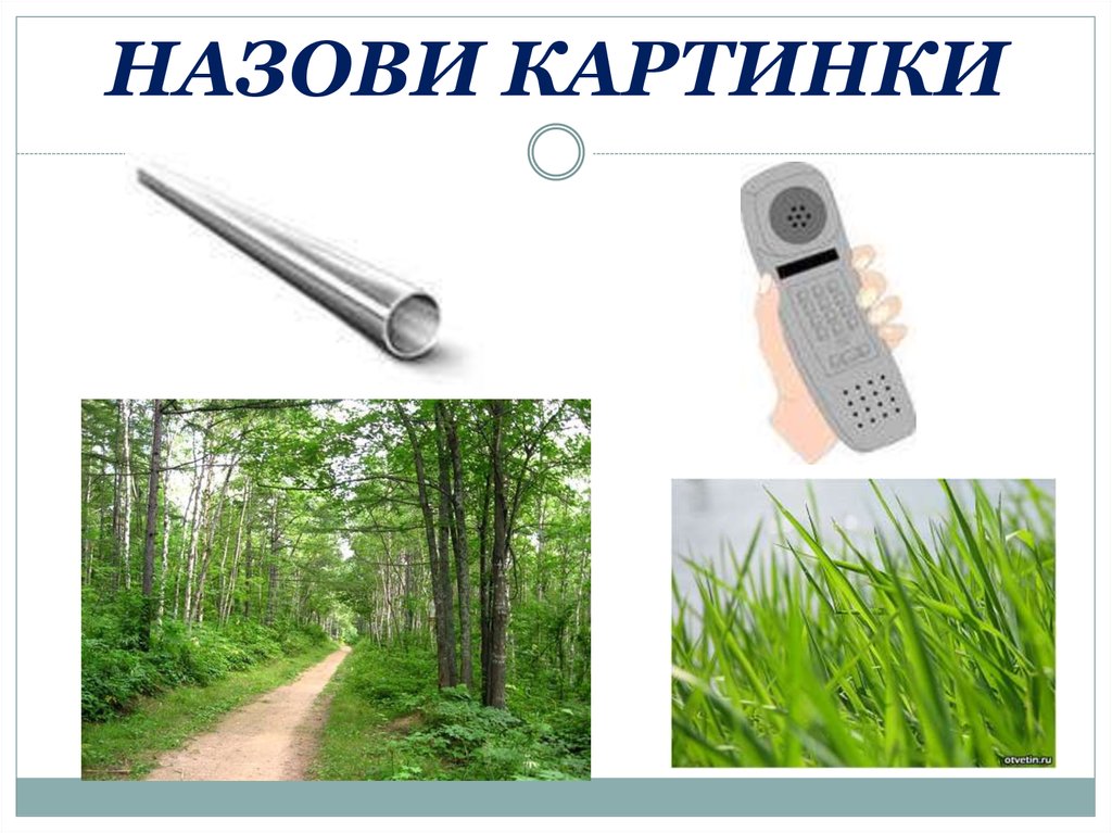 Назови 13