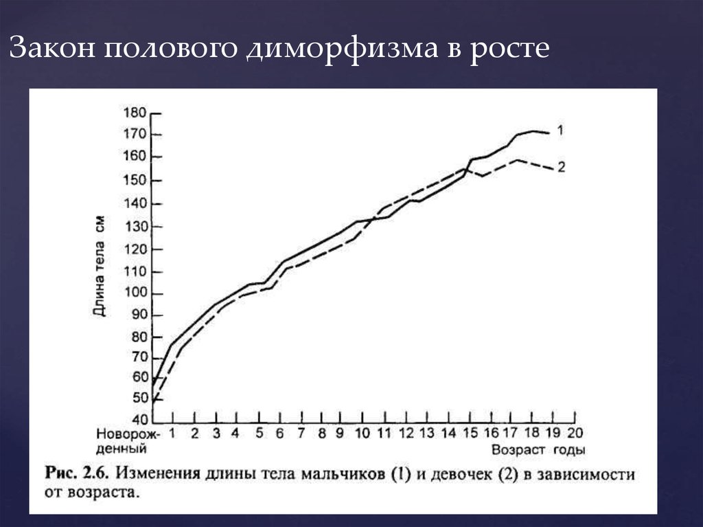 Законы роста