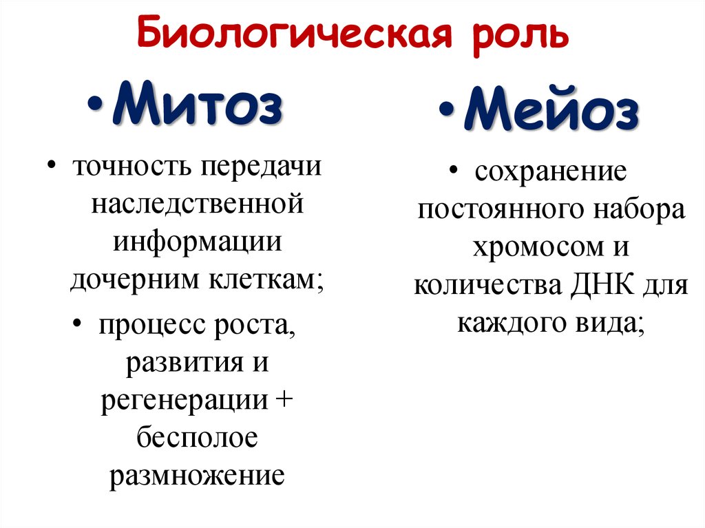 Биологический смысл мейоза. Биологическая роль митоза кратко. Какова биологическая роль митоза и мейоза. Биологическая роль мейоза заключается в. Биологическая роль митоза мейоза и амитоза.