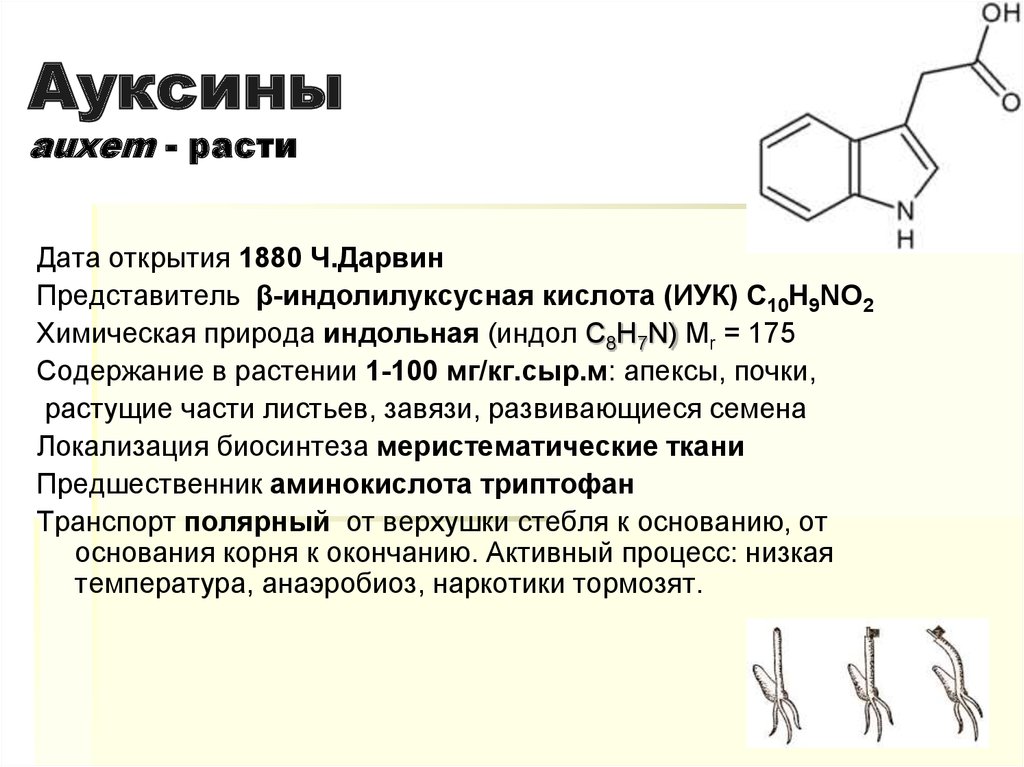 Чем отличается индол