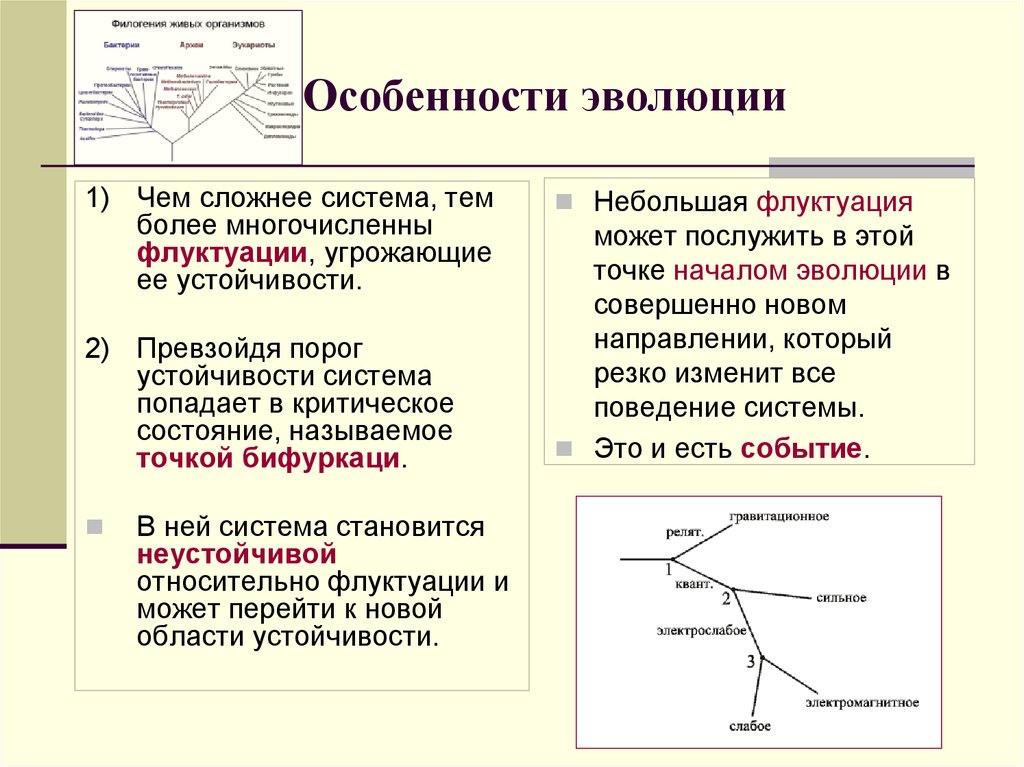 Описание эволюционного развития организмов метод