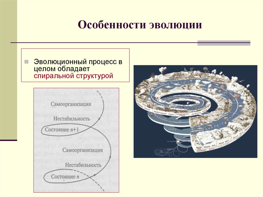 Процесс эволюции. Специфика эволюционных процессов. Эволюционный процесс схема. Особенности эволюционного процесса.