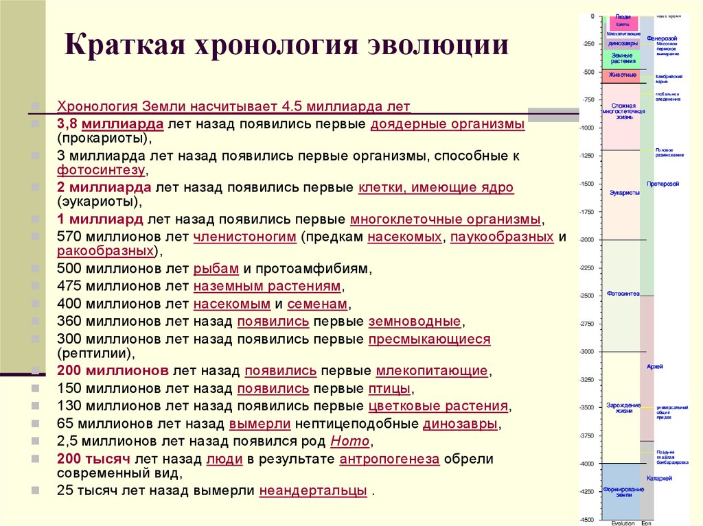 Хронология значения. Хронология эволюции. Краткая хронология эволюции. Хронология эволюции жизни. Что такое хронология кратко.