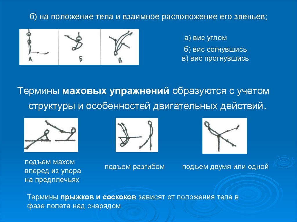 Взаимное расположение тел. Положения звеньев тела. Термины маховых упражнений образуются. Термины прыжков и соскоков зависят:. Гимнастическая терминология.
