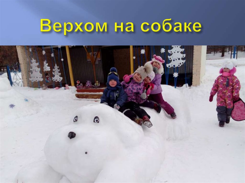 Верхом на собаке