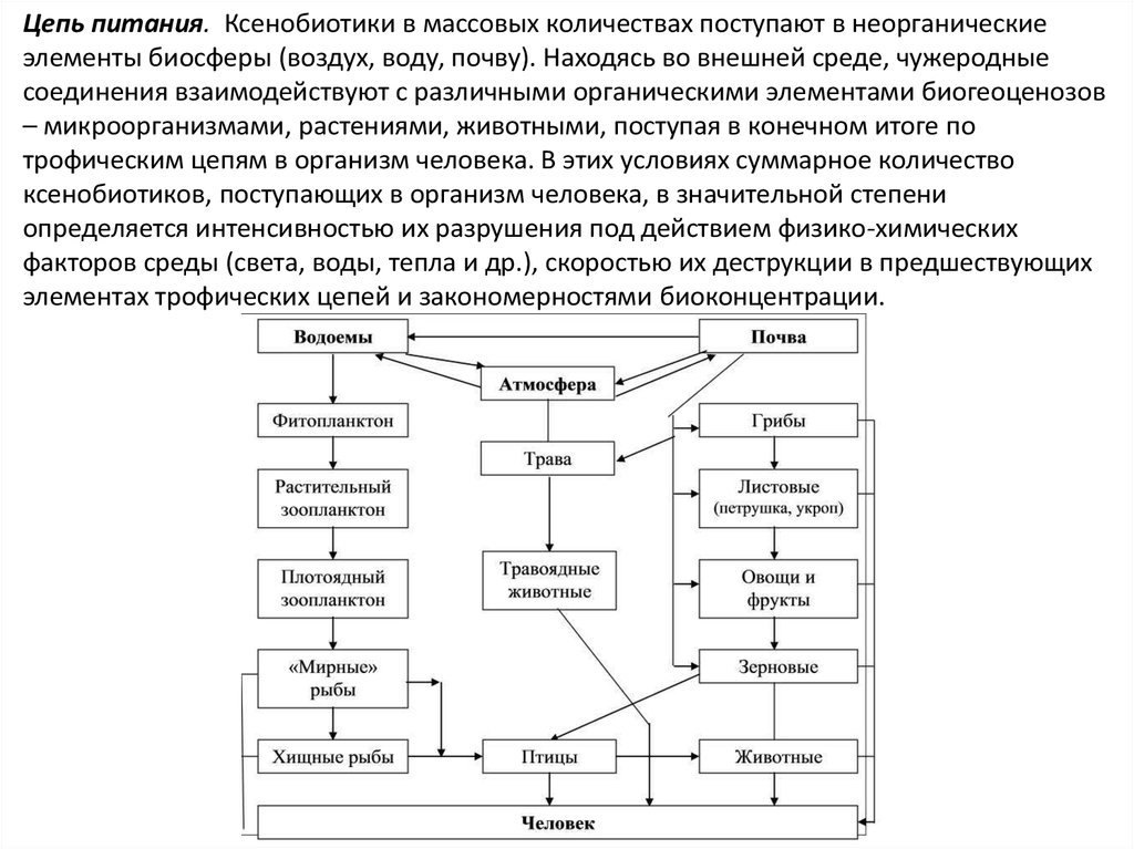 Ксенобиотики примеры