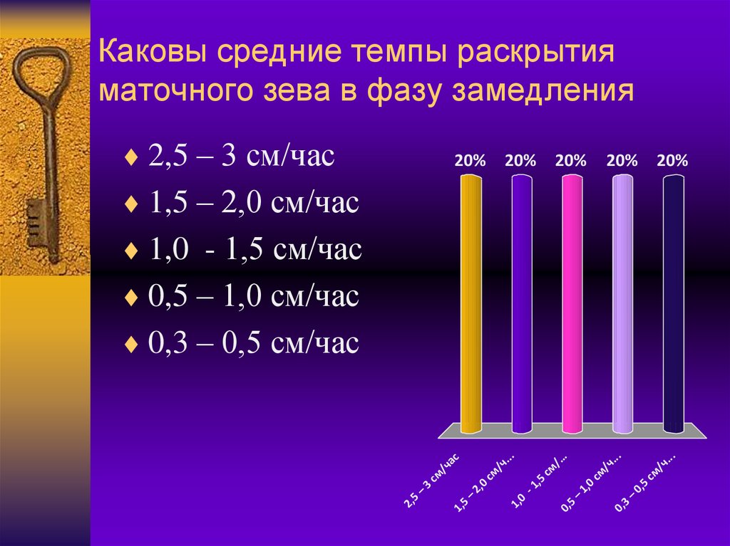 Какова средняя длина