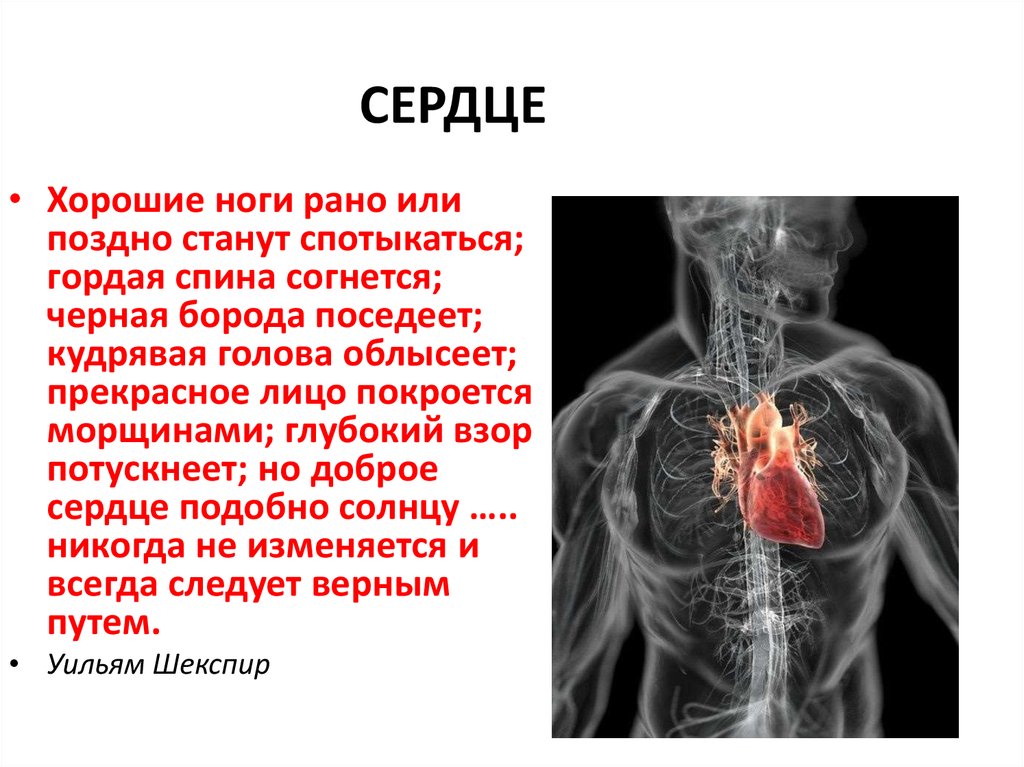 Становилось позже. Хорошие ноги рано или поздно станут спотыкаться гордая. Хорошие ноги рано или поздно станут. Хорошие ноги рано или поздно станут спотыкаться. Хорошие ноги начнут спотыкаться гордая спина.