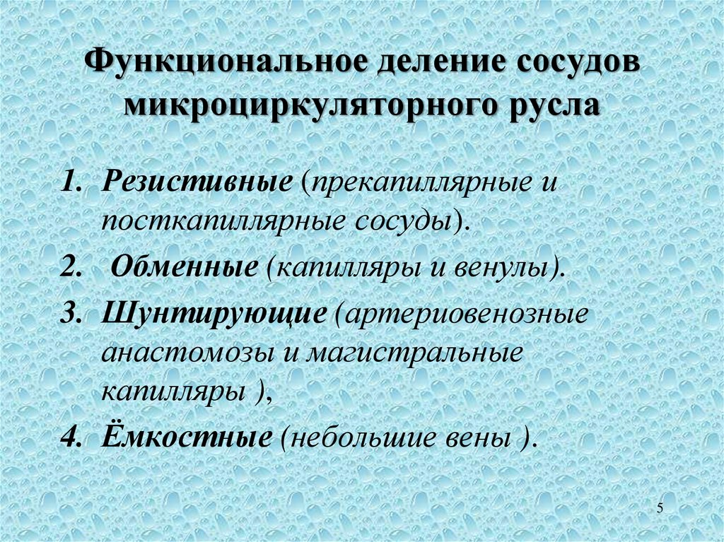 Разделяющие сосуды. Функциональное деление сосудов. Регуляция микроциркуляторного русла. Функциональное деление сосудов микроциркуляторного русла. Сосуд с делениями.