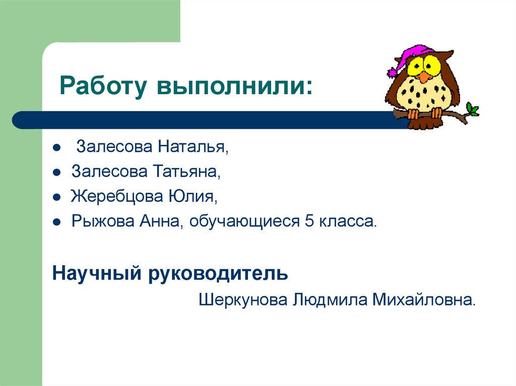 Работу выполнили: