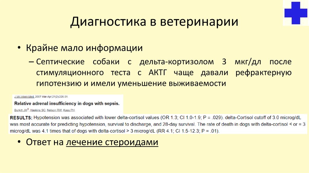 Диагностика в ветеринарии