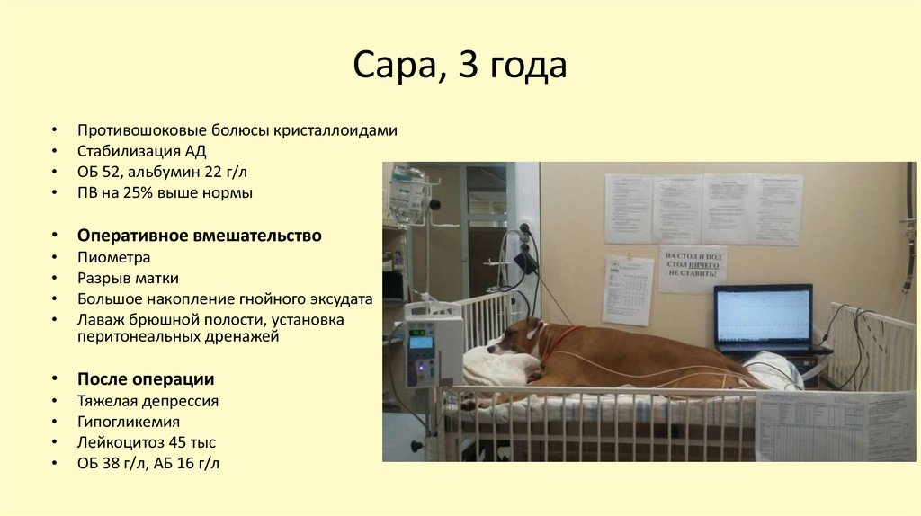 Сара, 3 года