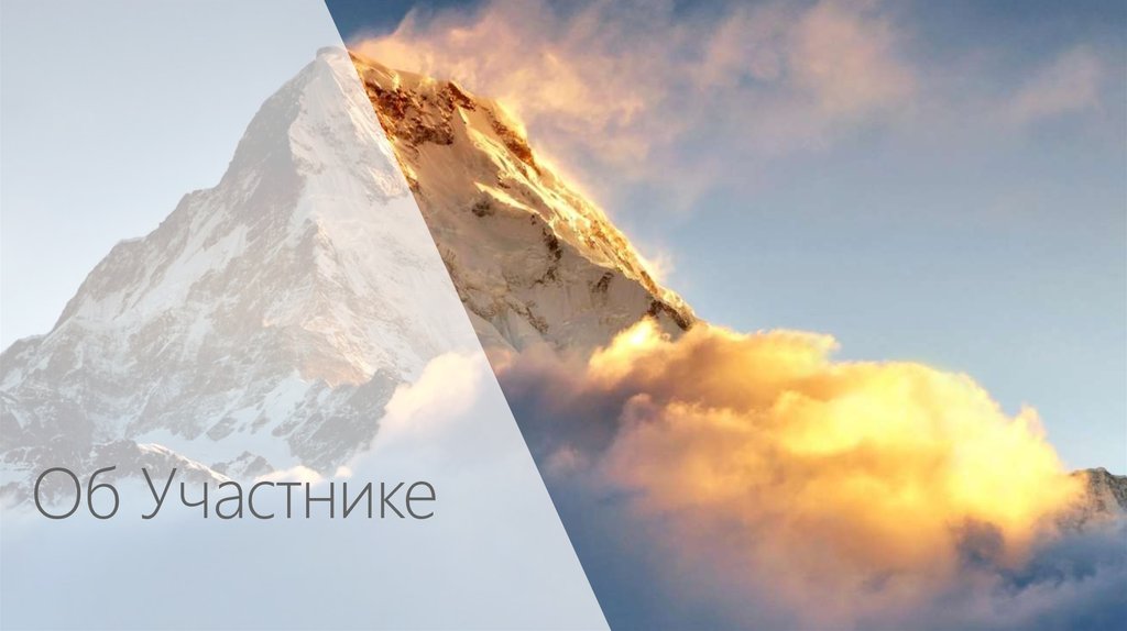 Об Участнике