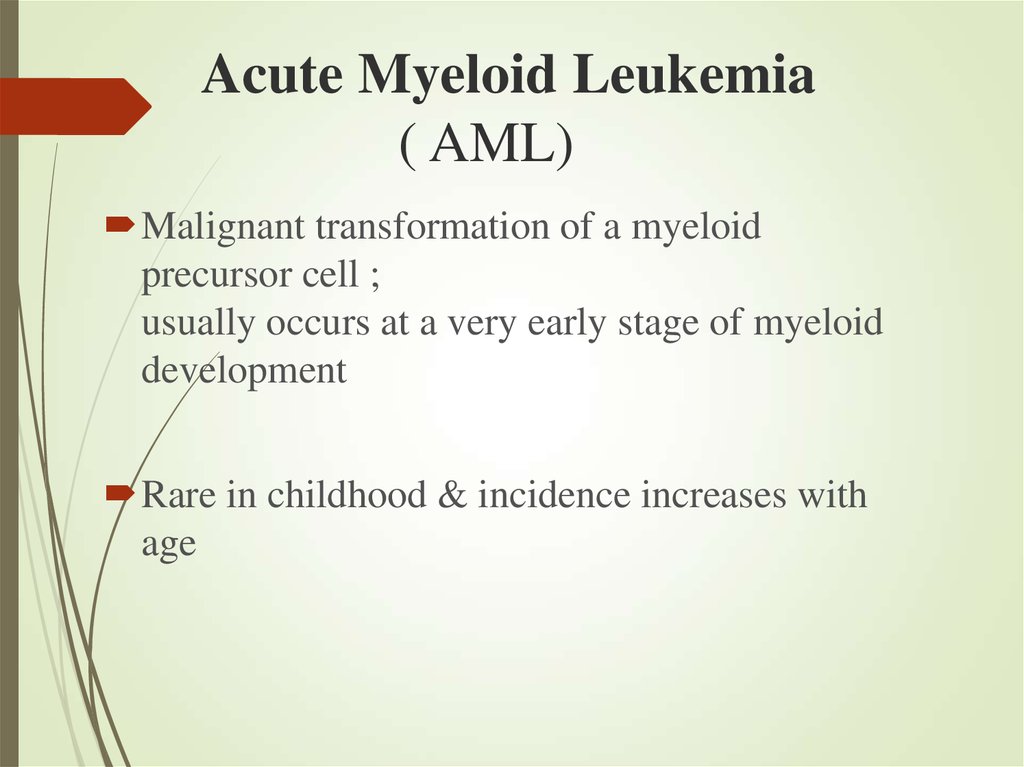 Acute Myeloid Leukemia ( AML)