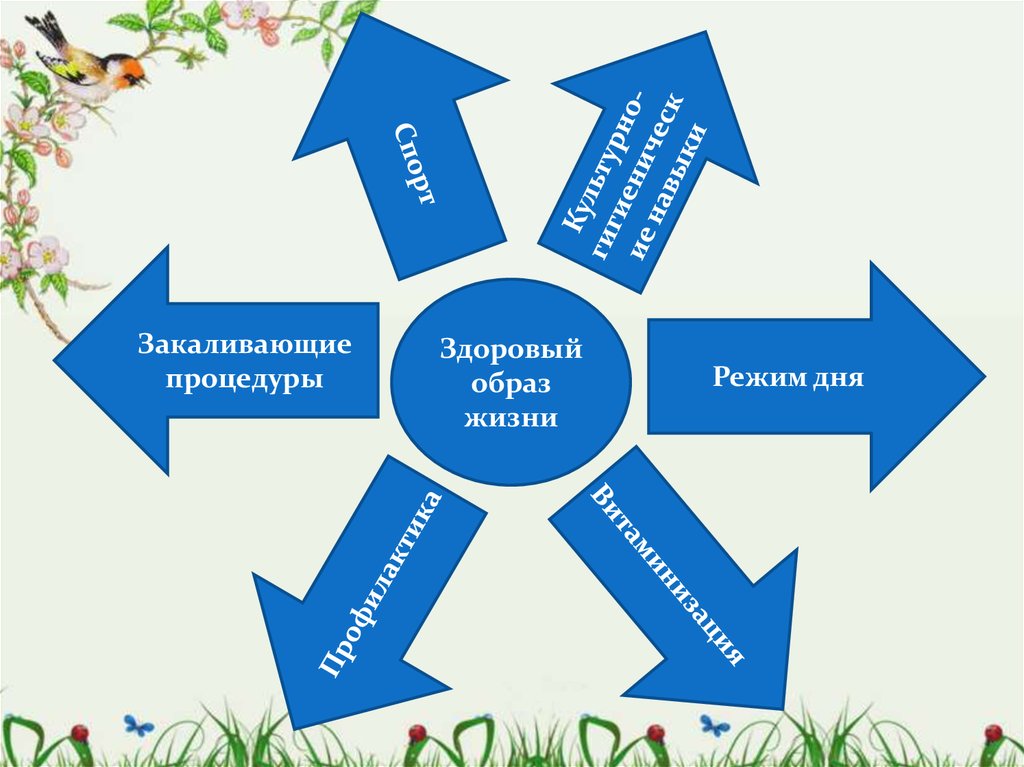 Диаграмма на тему зож