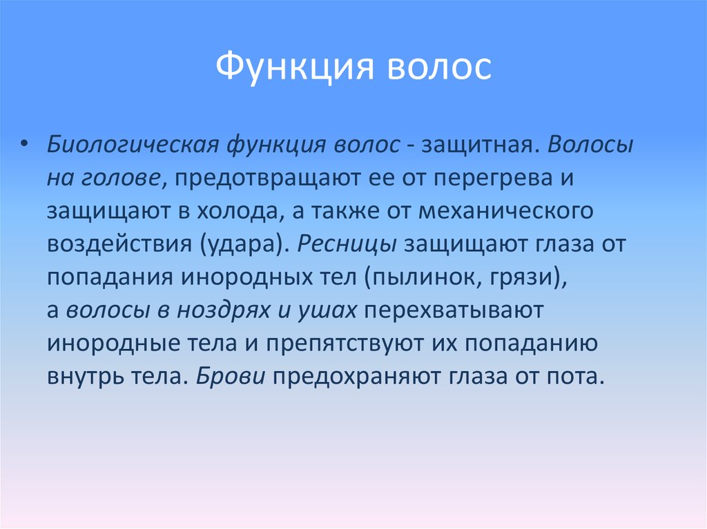 Функции волос. Какие функции выполняют волосы. Жизненные функции волос. Функции волос на теле человека.