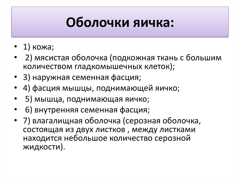 Оболочки яичка. Серозная оболочка яичка. Оболочки яичка и их производные. Оболочки яичка анатомия таблица.