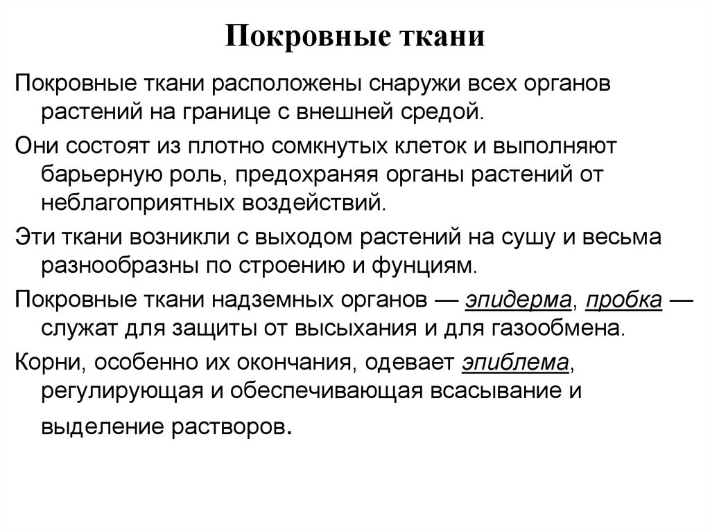 Плотный состоять. Ткани располагающиеся на поверхностях граничащих с внешней средой. Ткань находящаяся на границе внешней и внутренней среды. Какие ткани находятся на границе тела растения и внешней среды. Какие растения размножают культурные тканью.