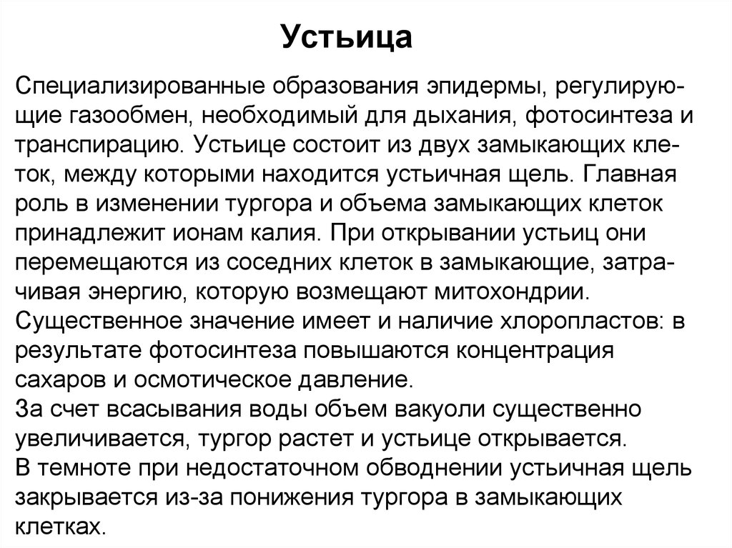 Жал щие ман щие. Устиц необходимо для дыхания и. Тургор замыкающей клетки устьиц. При потере тургора устьица открываются. Тургор роль.