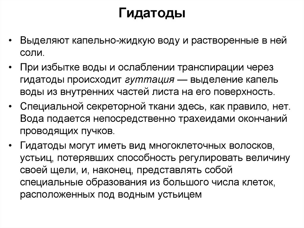 Капельно жидкие. Гидатоды. Гидатоды функции. Особенности строения гидатодов. Гидатоды это ботаника.